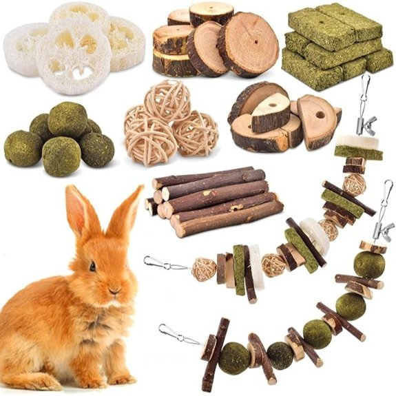 KATUMO Rabbit Chew Toys Bunny Toys Apple Wood Grass Timothy Treat
