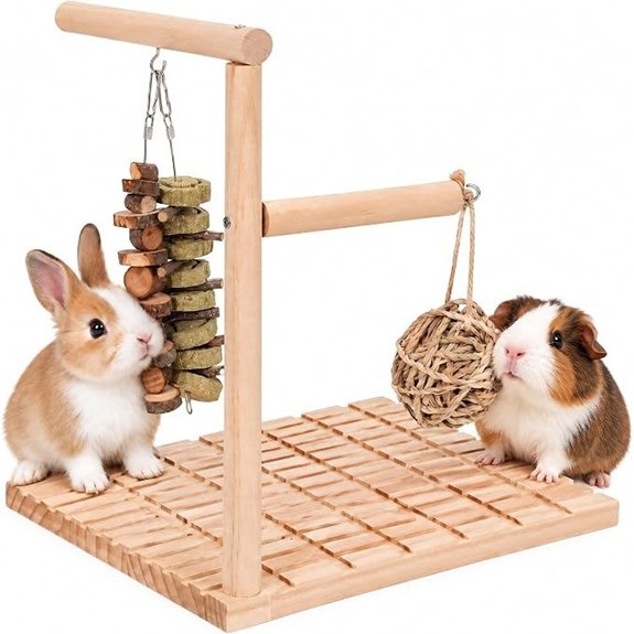 BESTonZON Rabbit Chew Toys and Scratch Board Set