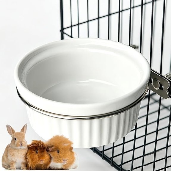 Rabbit Hanging Ceramic Bowl Removable Cage Feeder Pet Food Water Bowl