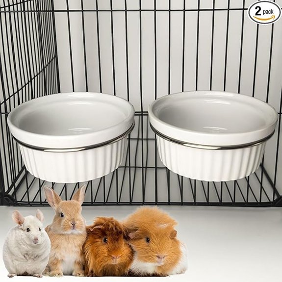 Rabbit Hanging Ceramic Bowl Removable Cage Feeder Pet Food Water Bowl