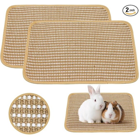 Rabbit Sisal Scratching Pad for Small Pets