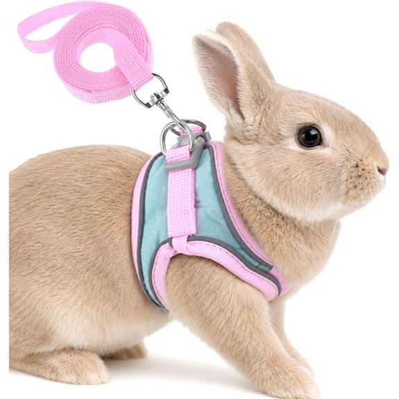 Adjustable Rabbit Harness and Leash Set with Reflective Strips