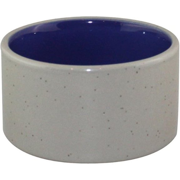 SPOT Standard Crock Dish for Small Animals