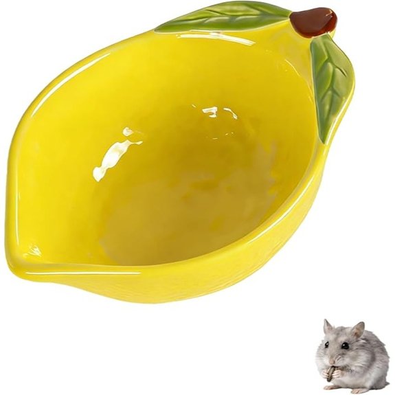 Small Ceramic Feeding Dish for Guinea Pigs and Hamsters