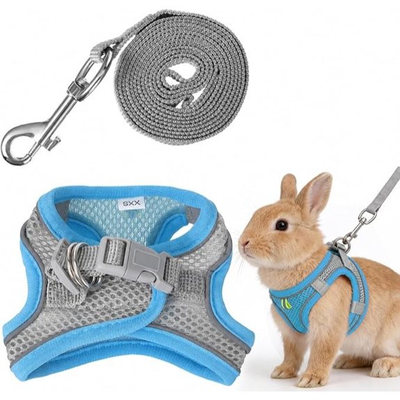 Bunny Harness and Leash Set for Small Pets
