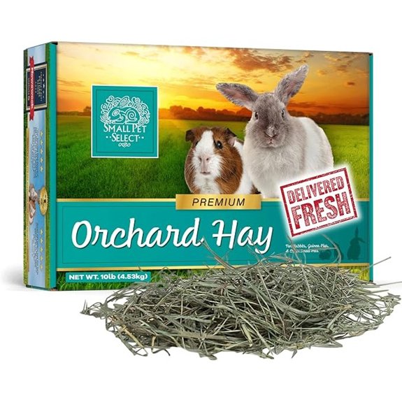 small pet select orchard grass