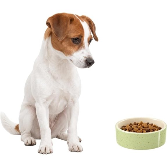 SPOT Speckled Stoneware Round Ceramic Pet Bowl