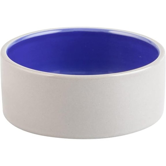 SPOT Stoneware Pet Bowl for Cats and Small Dogs