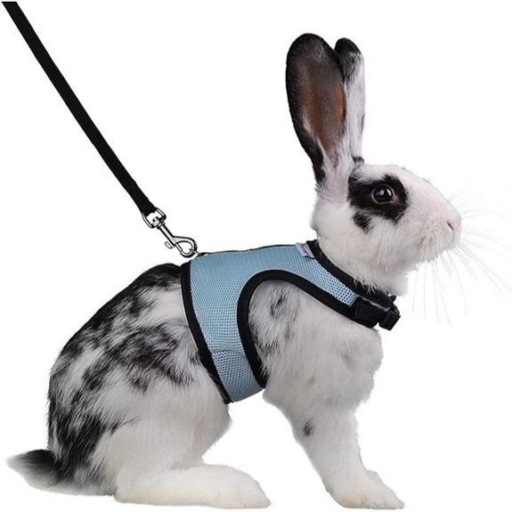 Niteangel Adjustable Soft Harness with Elastic Leash for Rabbits (XL Blue)