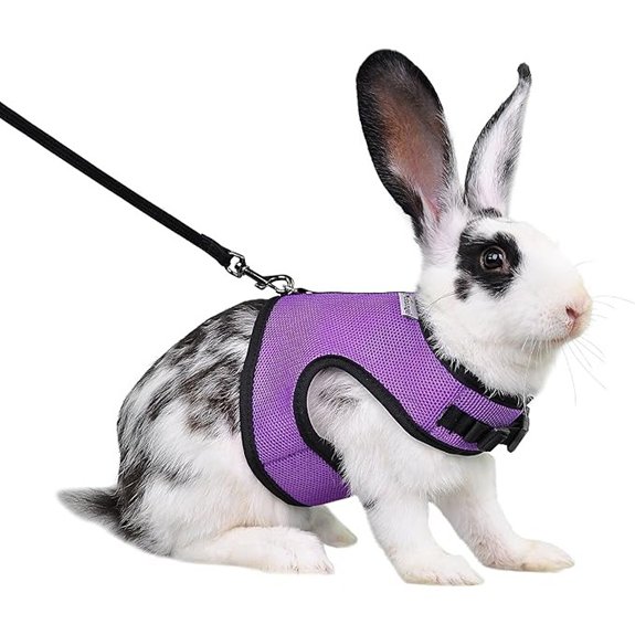 Niteangel Adjustable Soft Harness with Elastic Leash for Rabbits (XL Purple)